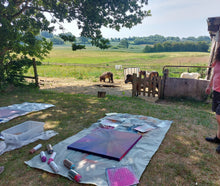 Load image into Gallery viewer, Summer painting course.  11.and 12. July 2024. Ponyværkstedet Aabenraa 
