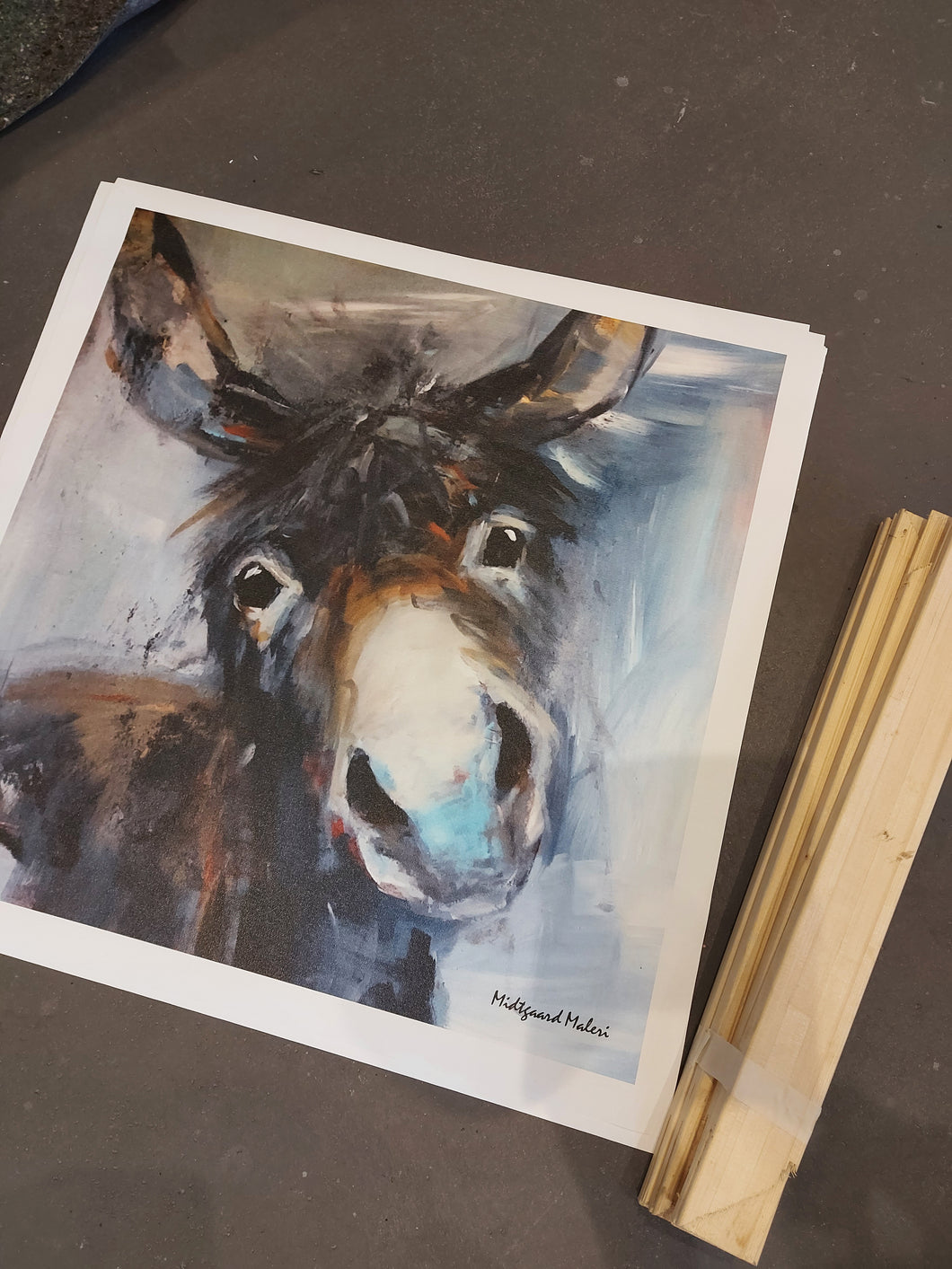 Print, print on canvas. donkey