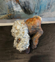Load image into Gallery viewer, Concrete horse 18
